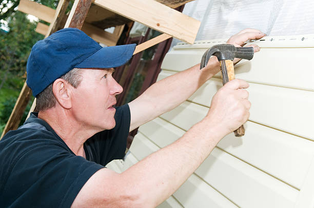 Best Siding Painting and Refinishing  in North Auburn, CA