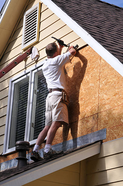 Best Custom Siding Design  in North Auburn, CA
