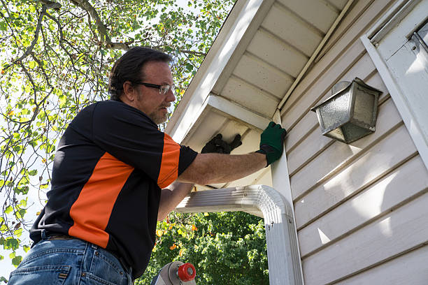 Best Siding for New Construction  in North Auburn, CA